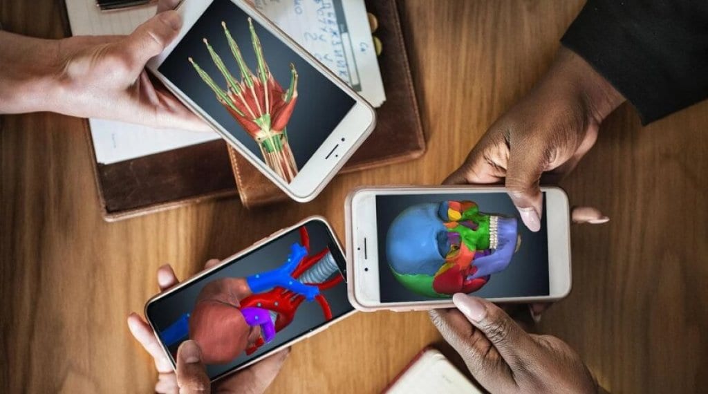 15 Best Anatomy Apps 2024 (Android & iOS) Freeappsforme Free apps