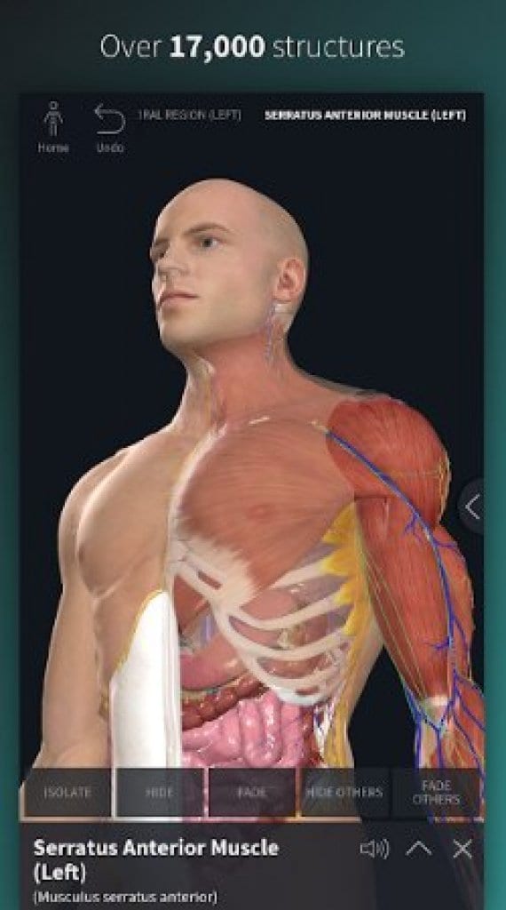 15 Best Anatomy Apps 2024 (Android & iOS) Freeappsforme Free apps