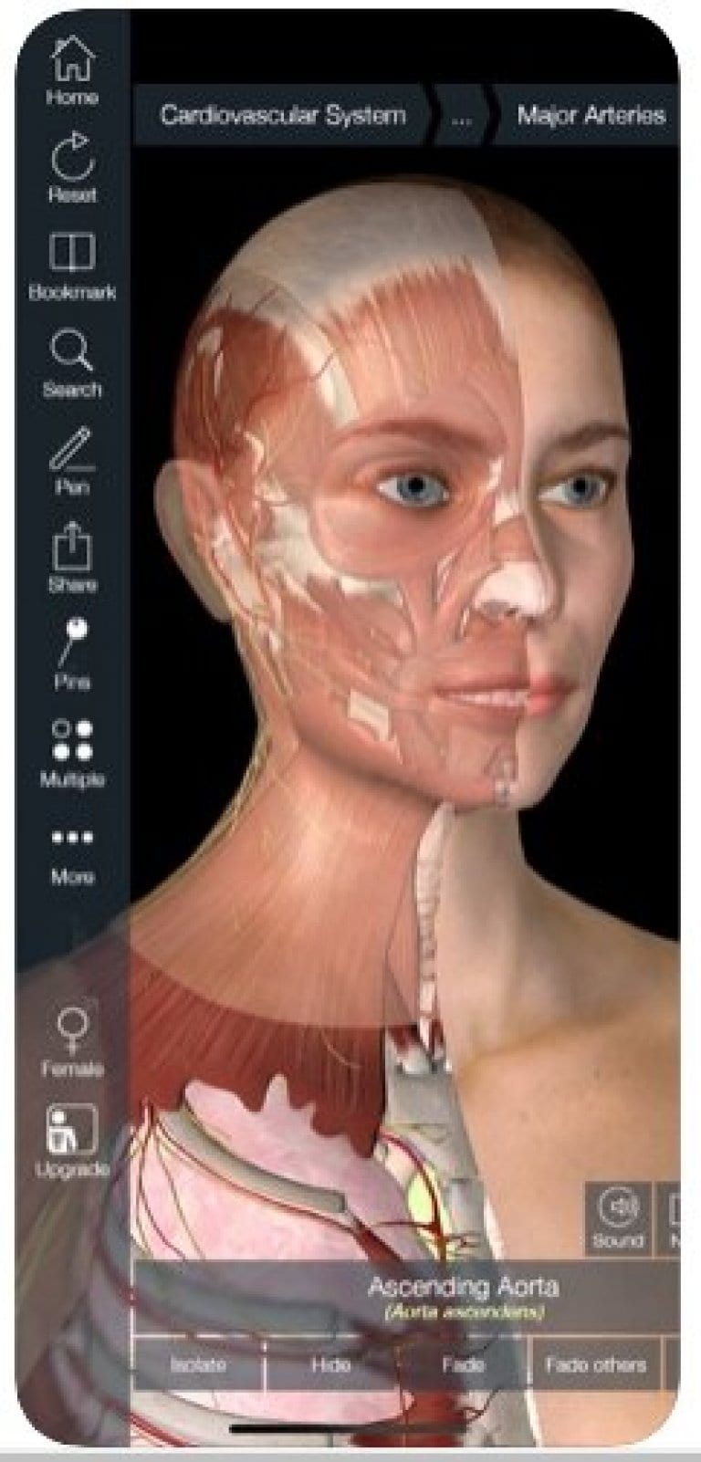15 Best Anatomy Apps 2024 (Android & iOS) Freeappsforme Free apps