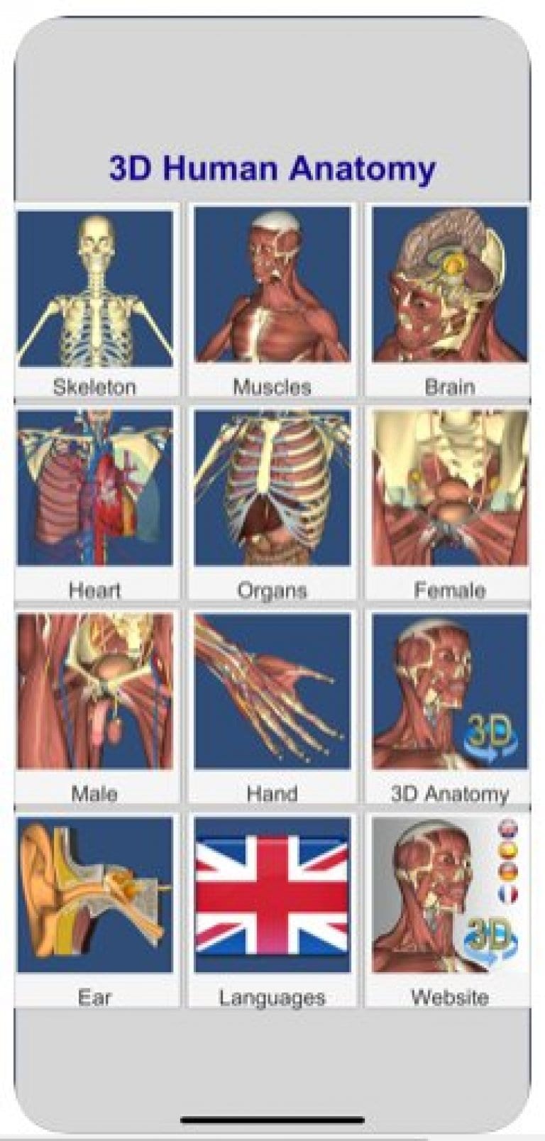 Anatomy learning 3d. Карточки для изучения анатомии человека. Приложение для изучения анатомии. Анатомия Лернинг.