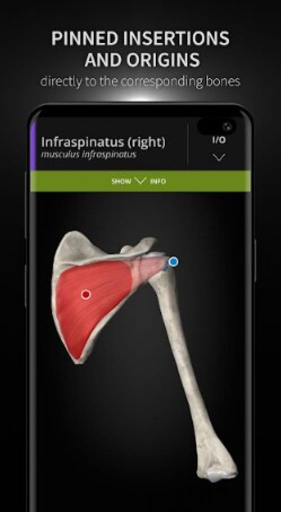 APPS TO LEARN ANATOMY FREE visual data 4