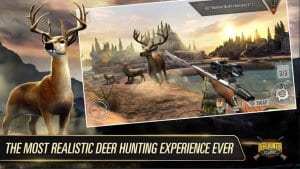 DEER HUNTER1