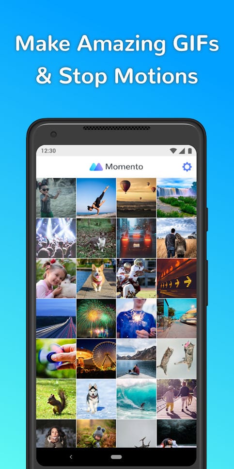 gif maker by momento1
