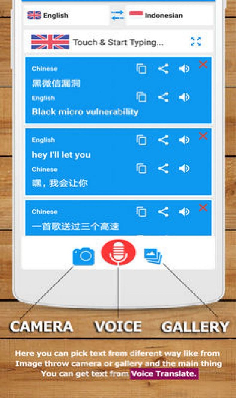 google voice translation app