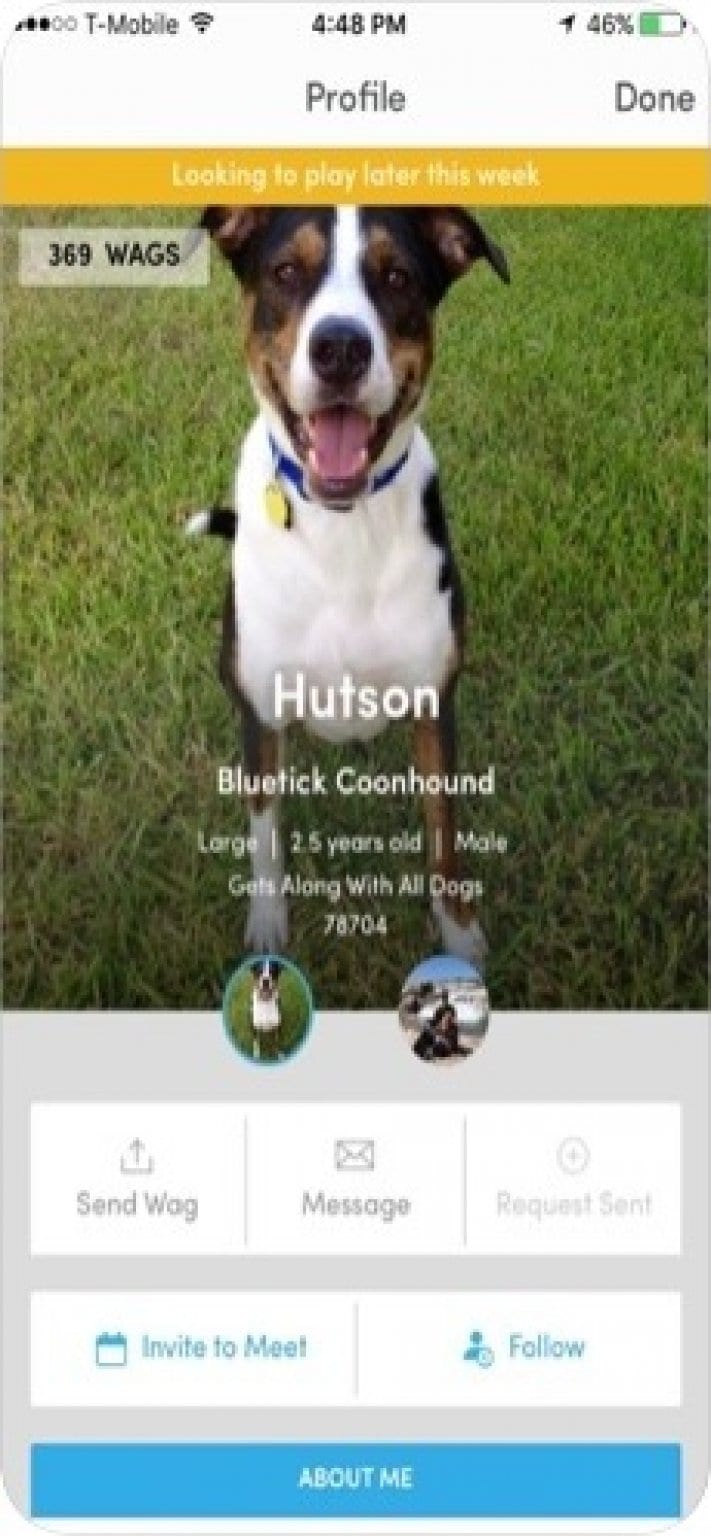 11 Best Animal Apps for Android & iOS Freeappsforme Free apps for