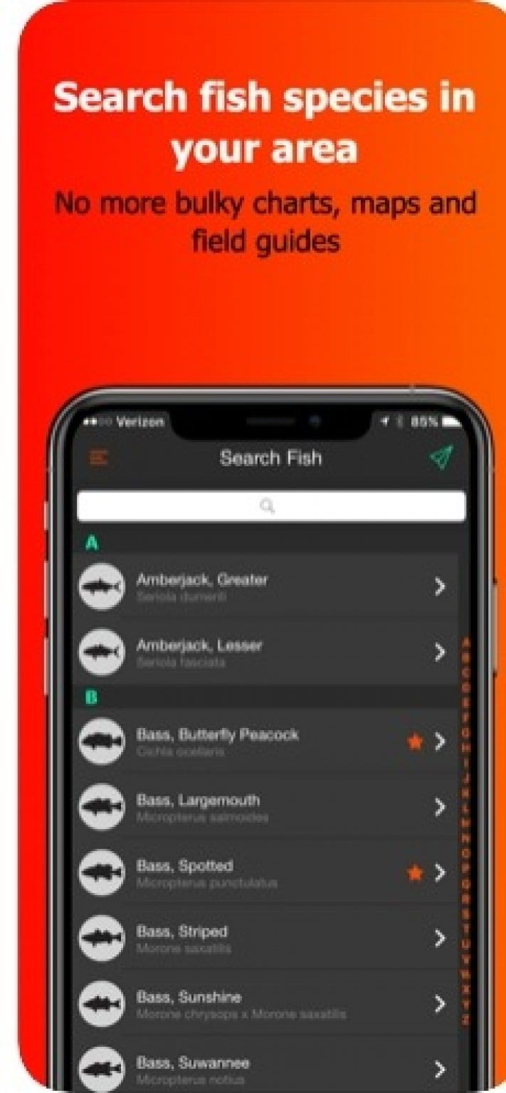7 Best Fish Identification Apps for Android & iOS Free apps for
