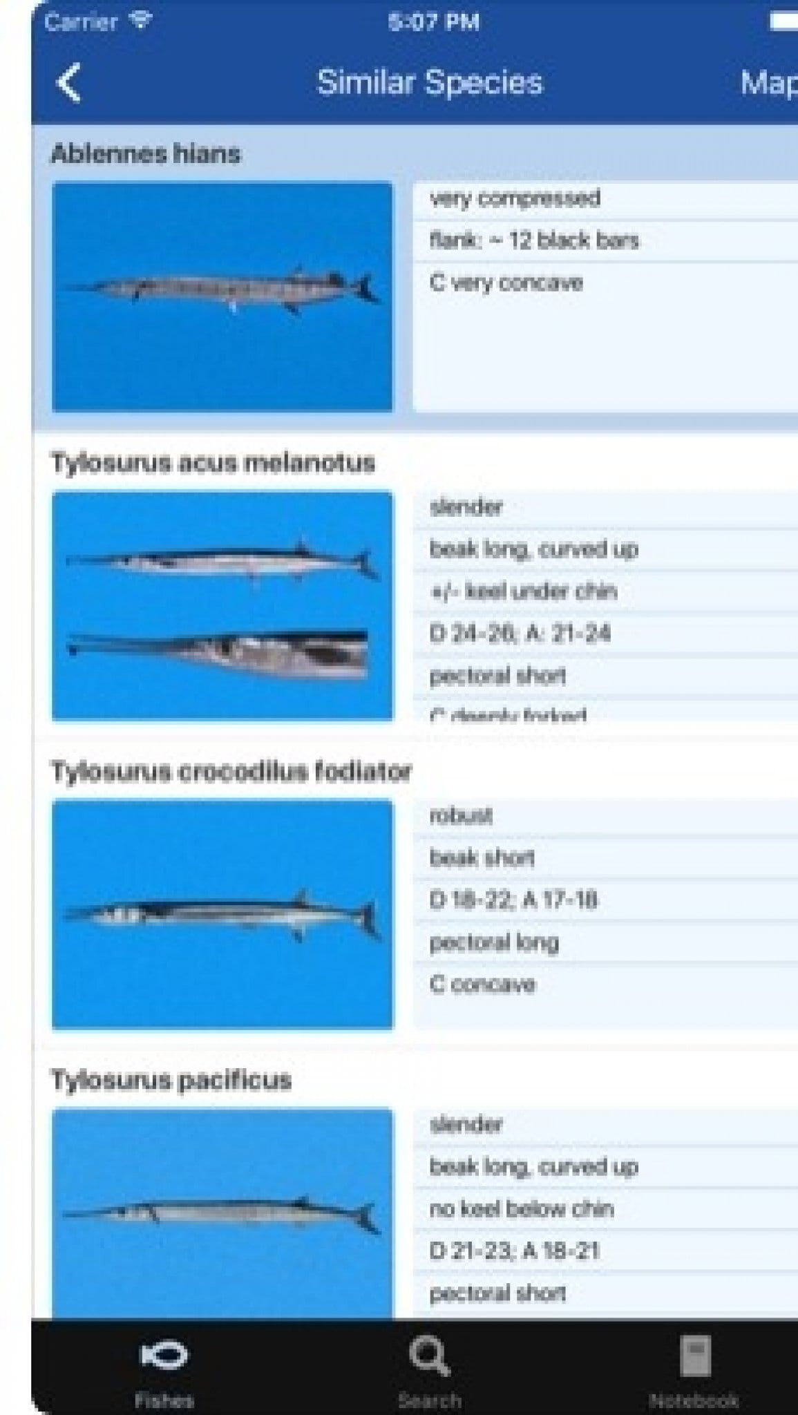 7 Best Fish Identification Apps for Android & iOS Free apps for Android and iOS