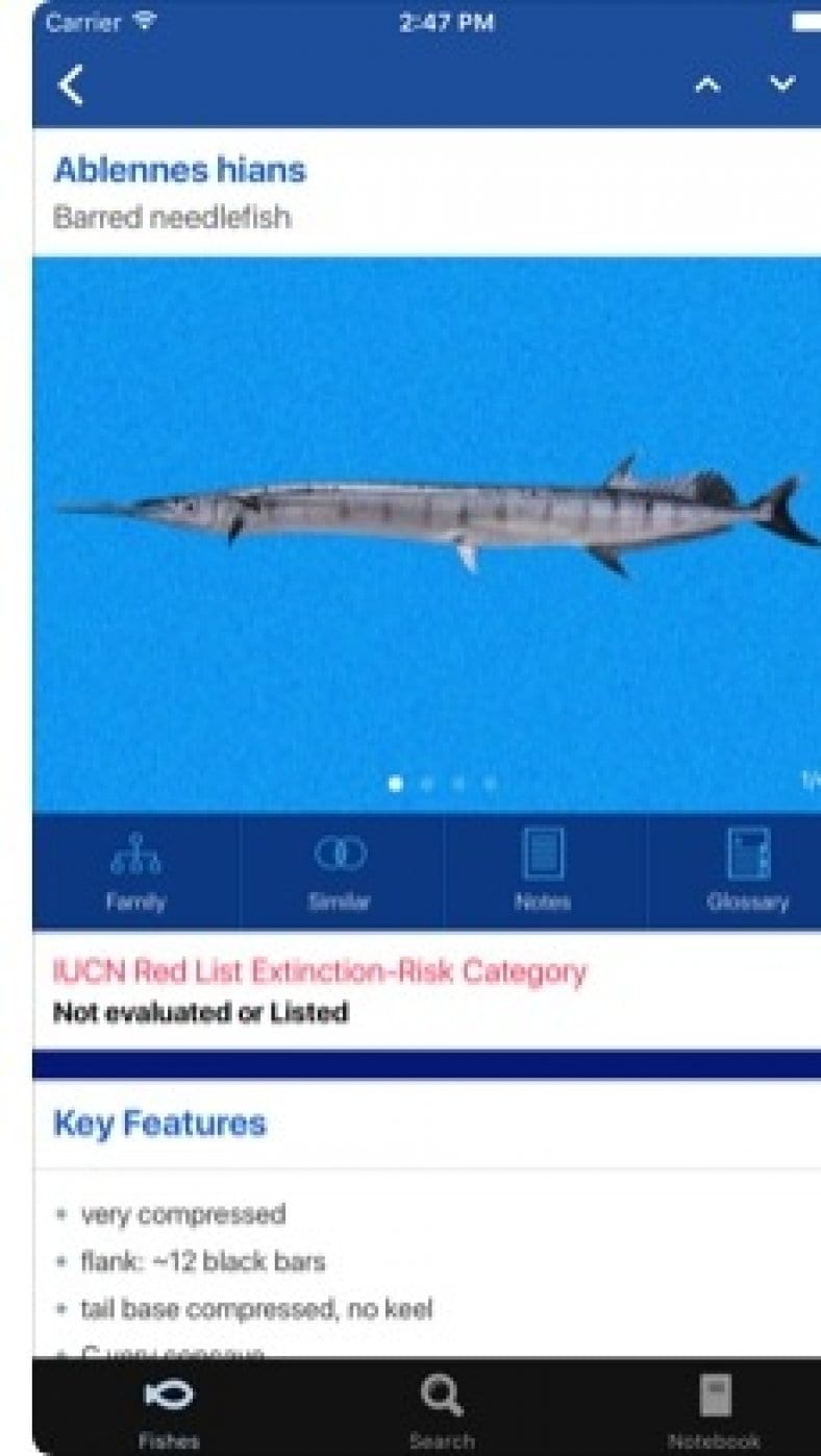 7 Best Fish Identification Apps for Android & iOS Free apps for