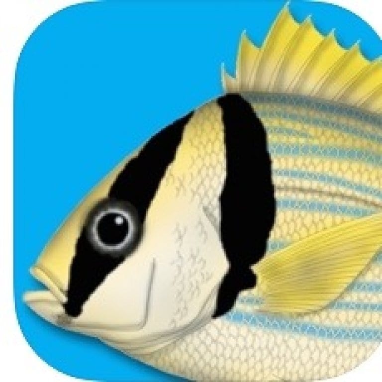 7 Best Fish Identification Apps for Android & iOS Free apps for