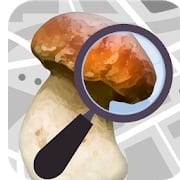 Mushroom Identify