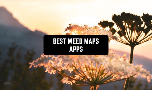 7 Best Weed Maps Apps for Android & iOS