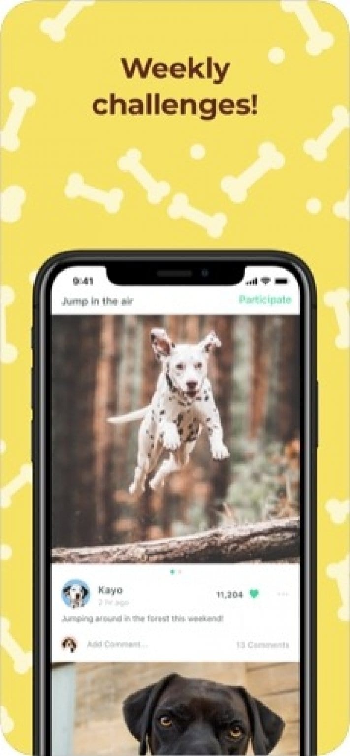 11 Best Animal Apps for Android & iOS | Freeappsforme - Free apps for ...