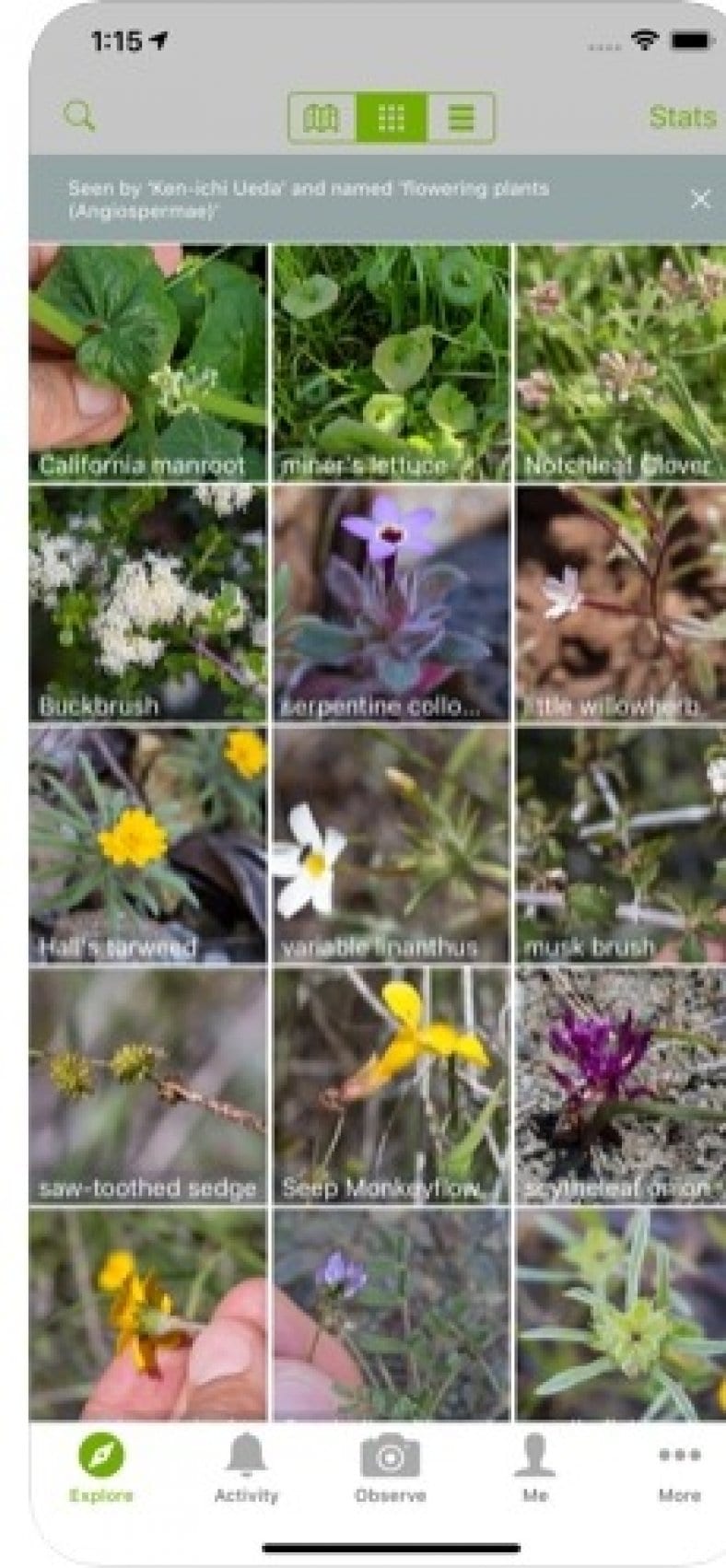 4 Best Animal Identification Apps for Android & iOS Free apps for