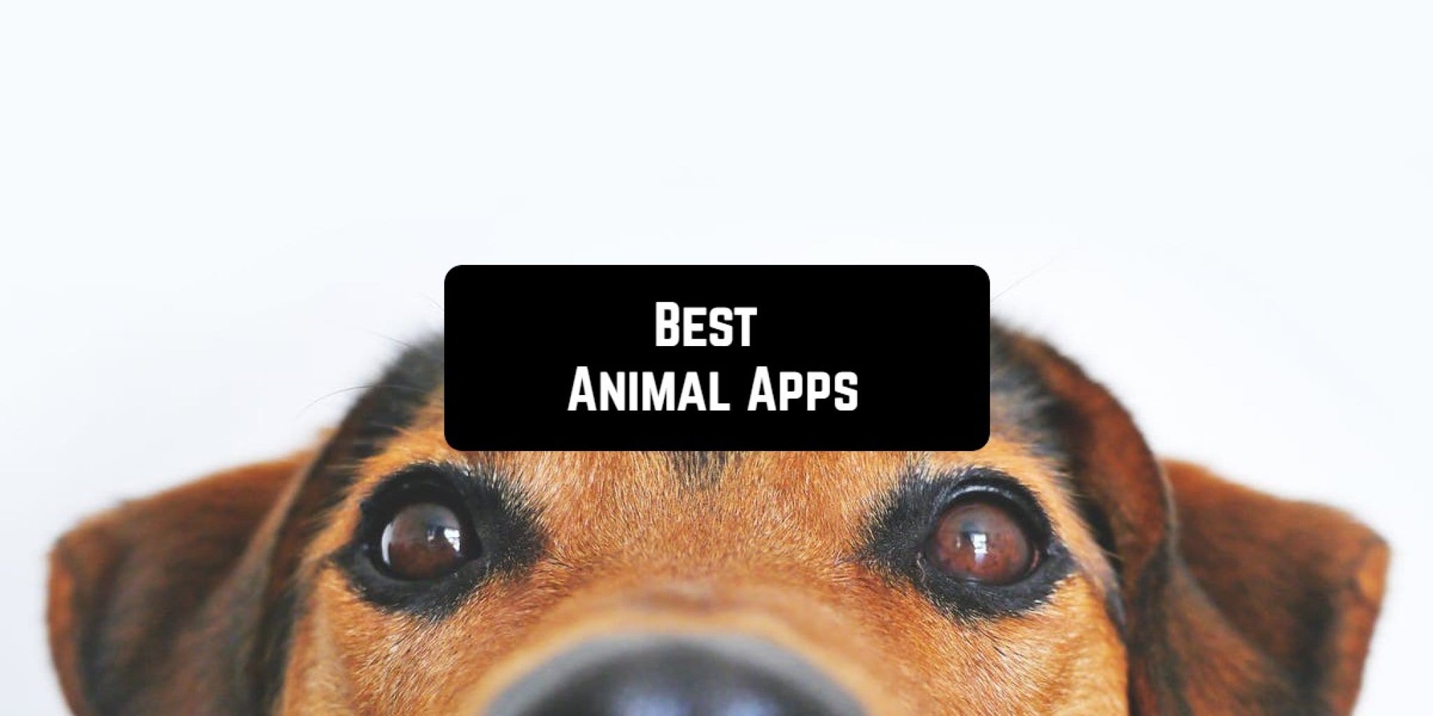 11 Best Animal Apps for Android & iOS | Free apps for Android and iOS