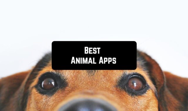 11 Best Animal Apps for Android & iOS