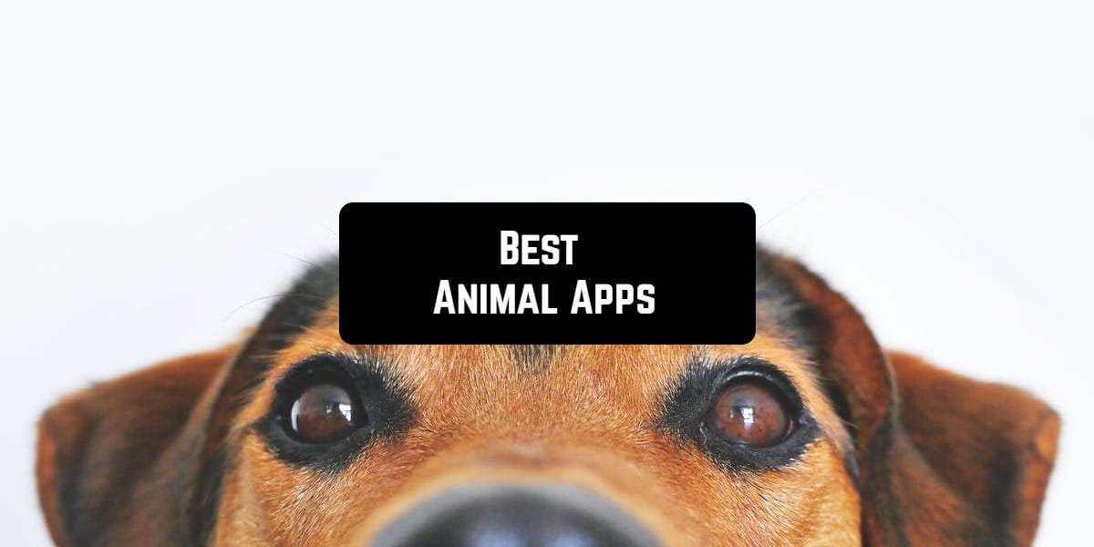11 Best Animal Apps for Android & iOS | Free apps for Android and iOS 11 Best Animal Apps for Android & iOS | Free apps for Android and iOS