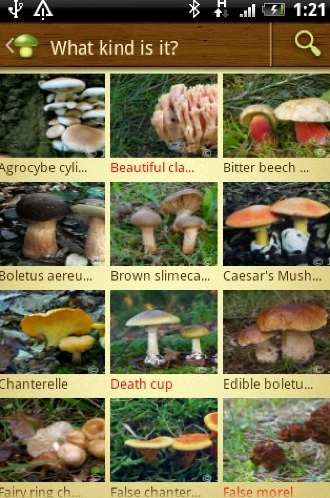 7 Best Mushrooms Identification Apps for Android & iOS | Freeappsforme ...