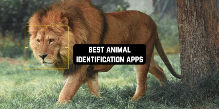 Best Animal Identification Apps