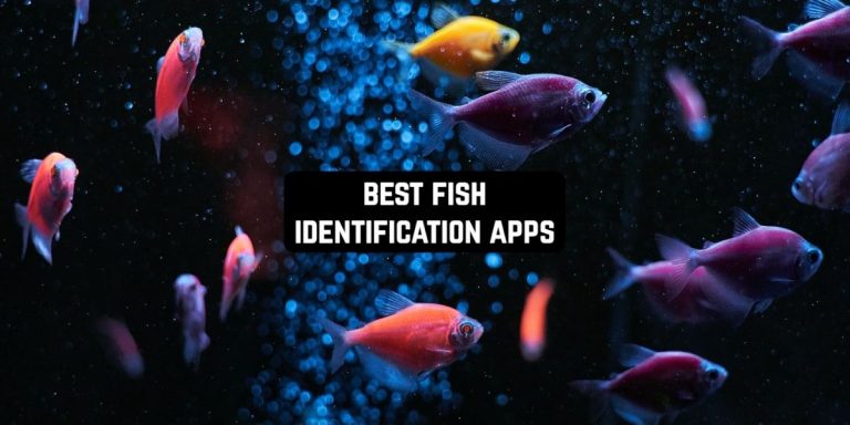 Best fish Identification Apps