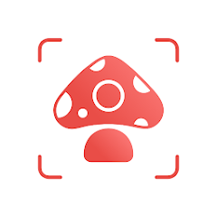 Picture Mushroom - Mushroom ID5