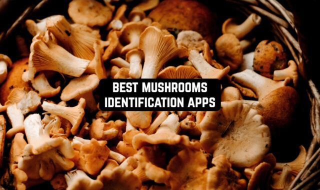 8 Best Mushrooms Identification Apps for Android & iOS