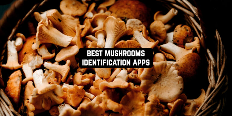 best mushrooms identification apps