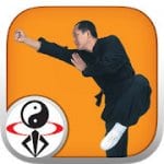 shaolin kung fu