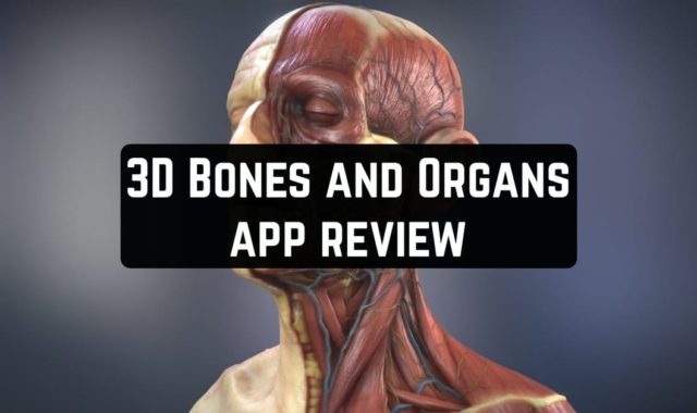 3D Bones and Organs app review