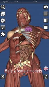 3D Bones and Organs screen 2