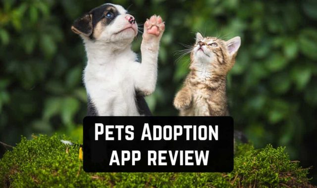 Pets Adoption: Adopt Dog, Cat or Post for Adoption app review