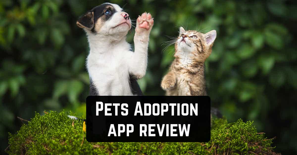 Pets Adoption: Adopt Dog, Cat or Post for Adoption app review