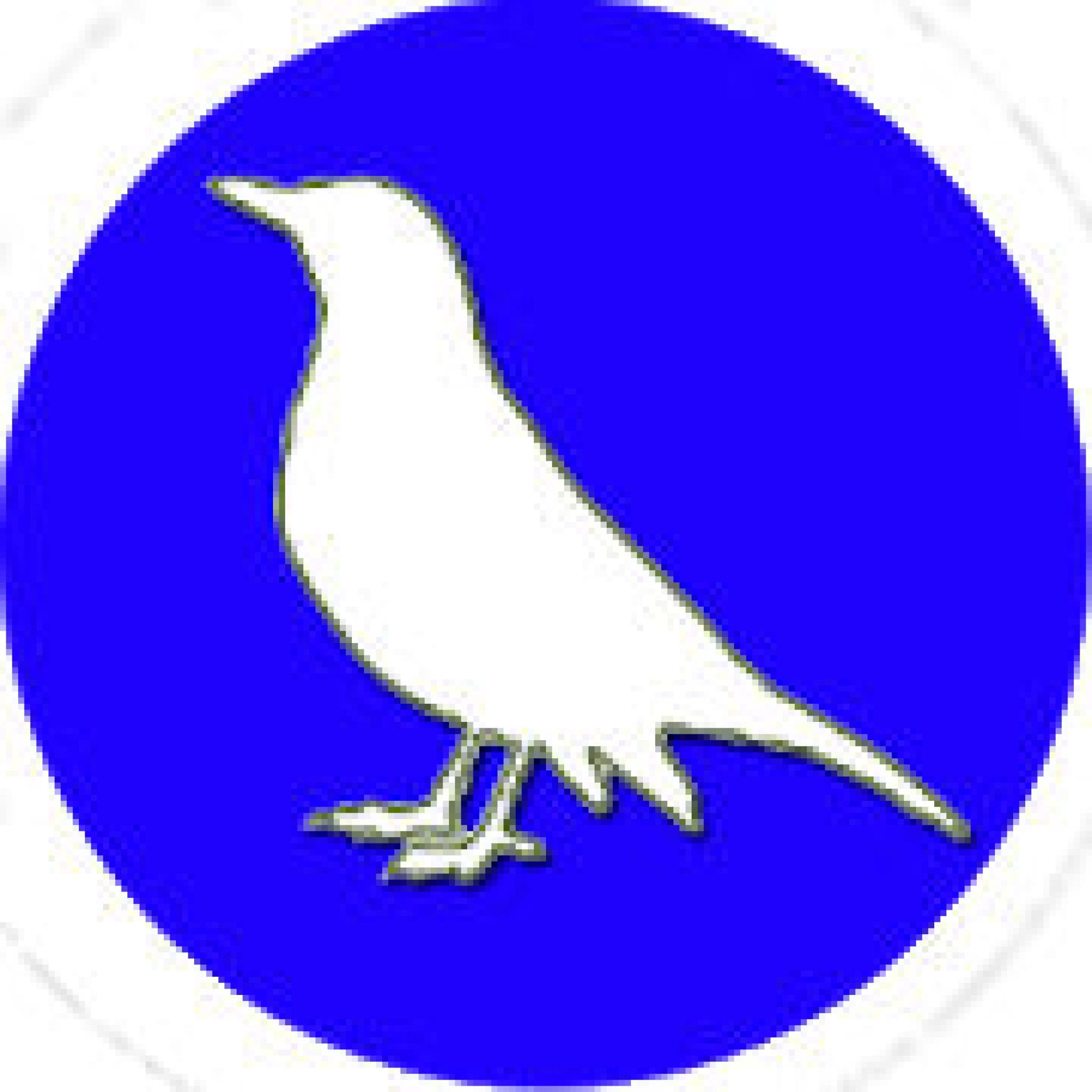 7 Best bird identifier apps for Android & iOS Free apps for Android