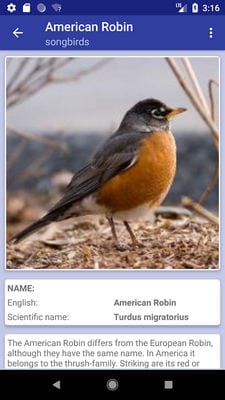 bird identification app