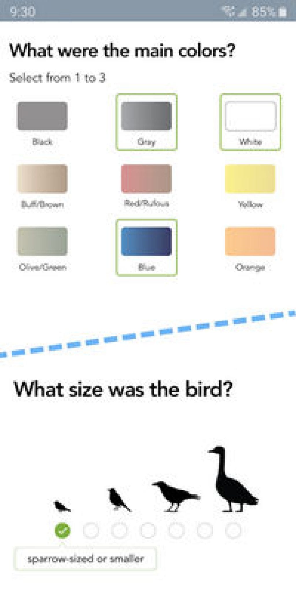 7 Best bird identifier apps for Android & iOS | Freeappsforme - Free ...