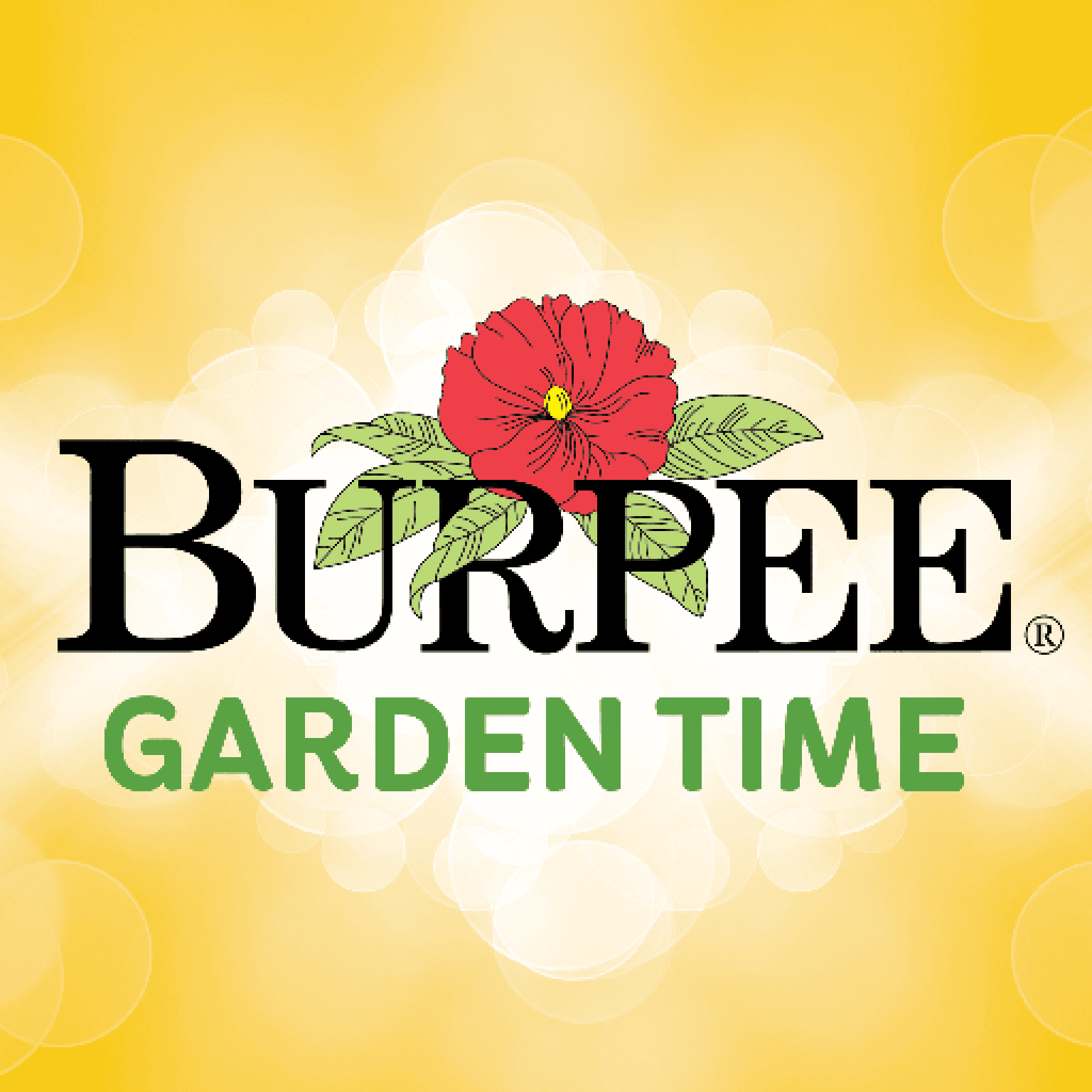 burpee vegetable garden planner app