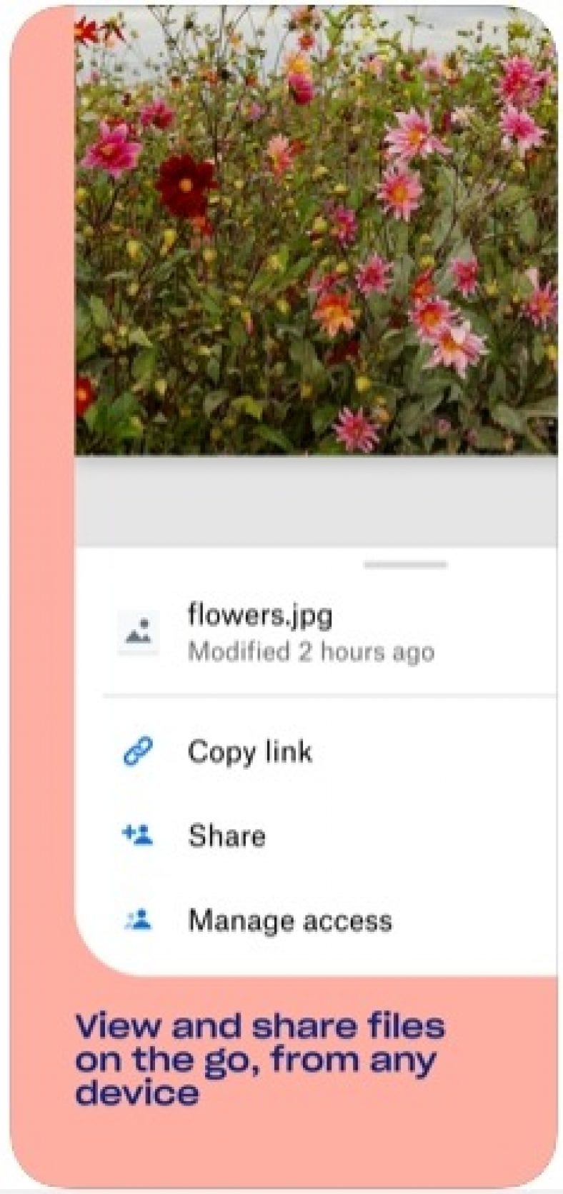 11 Best Cloud Storage Apps for Android & iOS Freeappsforme Free