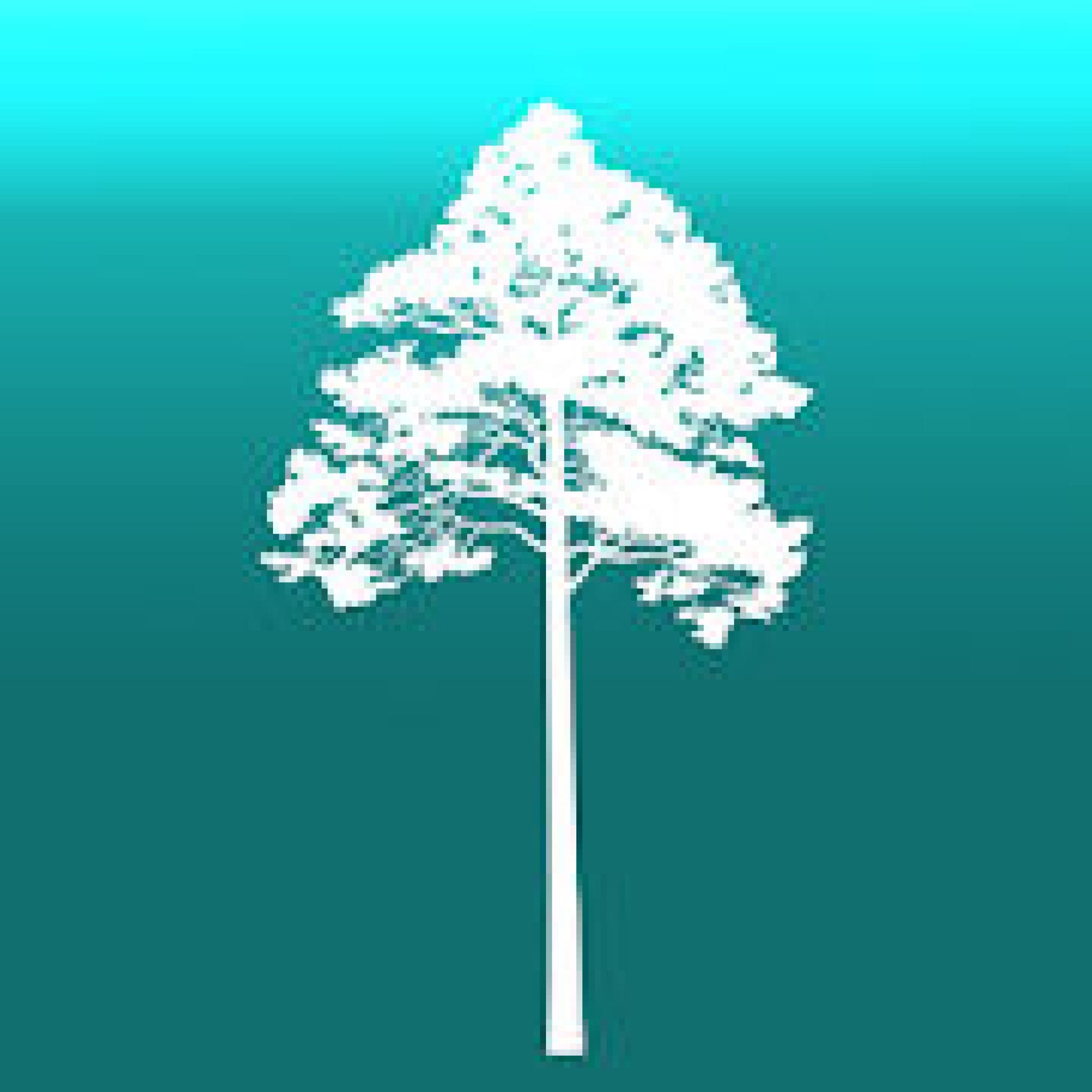 10 Best Measure Tree Height Apps for Android & iOS Freeappsforme