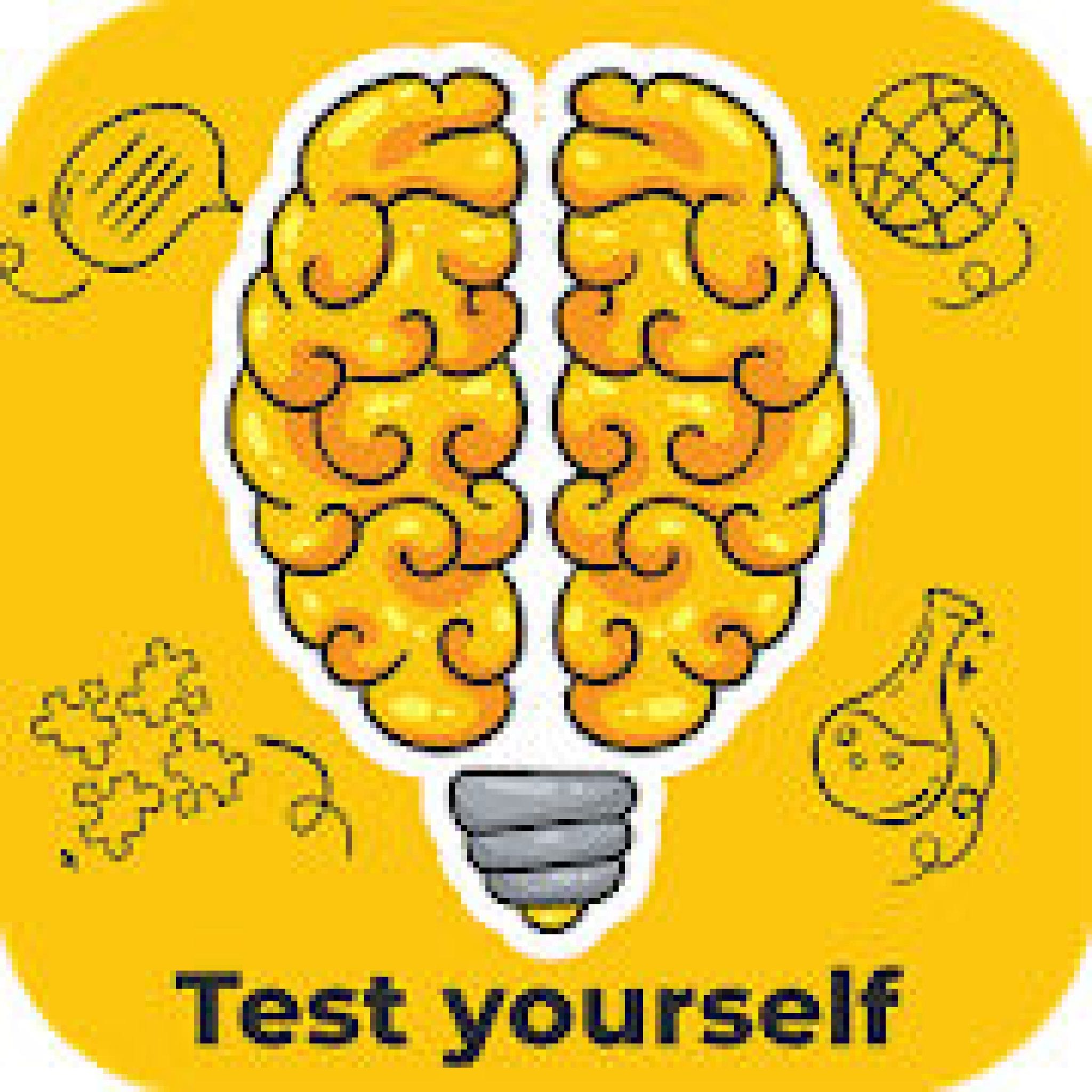 Мозг клипарт на прозрачном фоне. Psy тест. Psy Test 24. Test icon download. Пси испытания