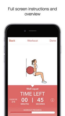 Gym Ball Revolution - daily fitness swiss ball routines for home workouts program2