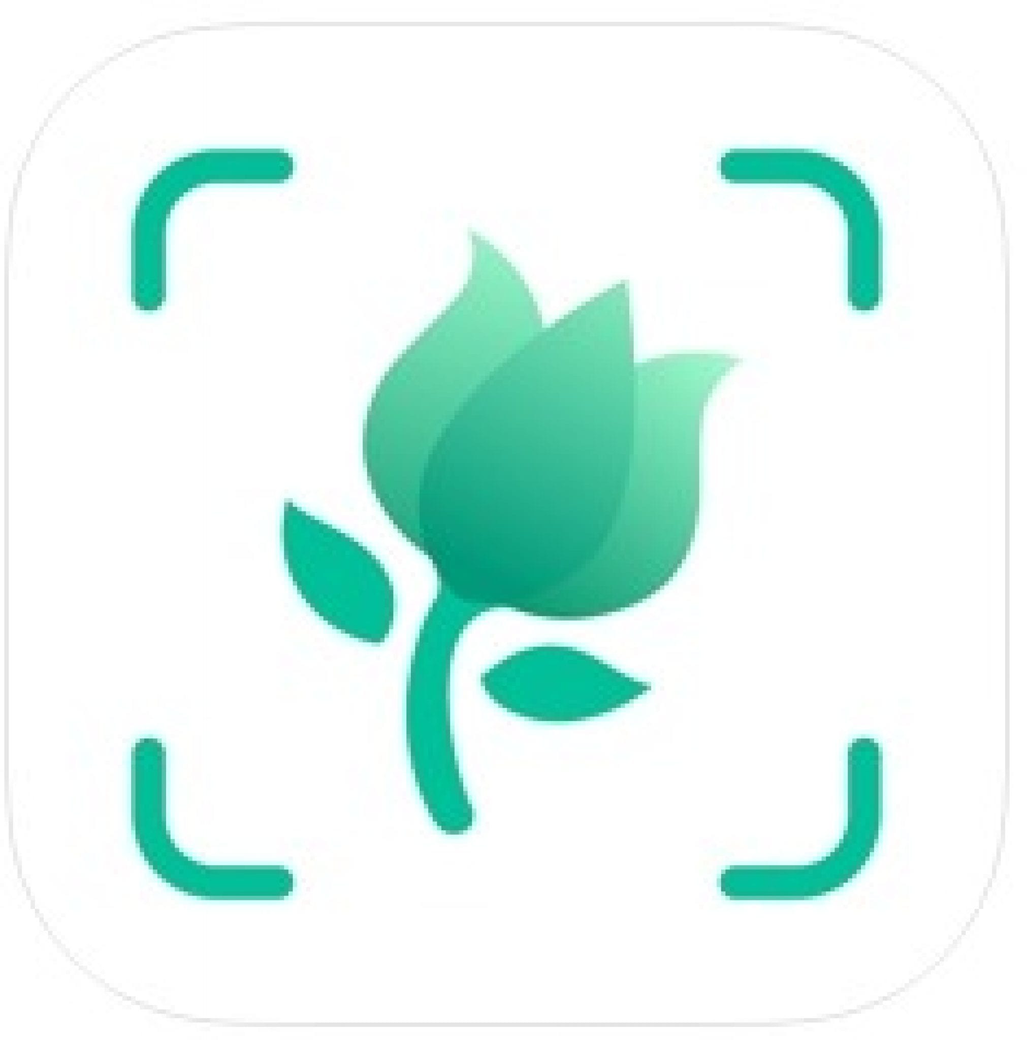 5 Free Flower Identification Apps for Android & iOS Free apps for Android and iOS