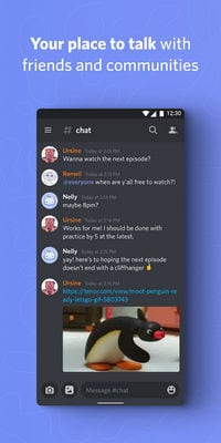 Discord - Talk, Video Chat & Hang Out with Friends1