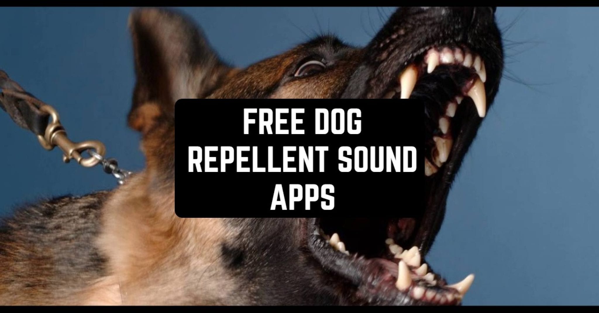 8 Free Dog Repellent Sound Apps for Android & iOS | Free apps for