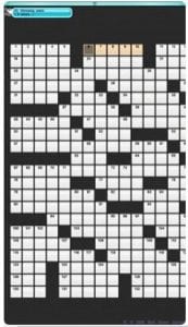Crossword Puzzles + 