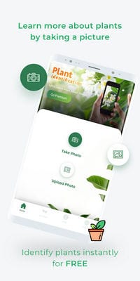 LeafSnap – Plant Identification1