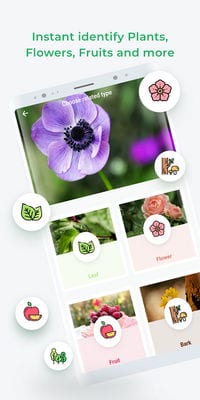 LeafSnap – Plant Identification2