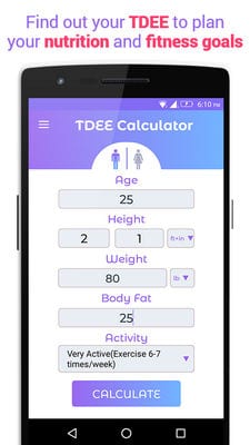 TDEE Calculator - Calorie Intake Calculator1