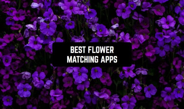 11 Best Flower Matching Games for Android & iOS
