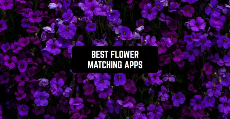 BEST FLOWER MATCHING APPS1