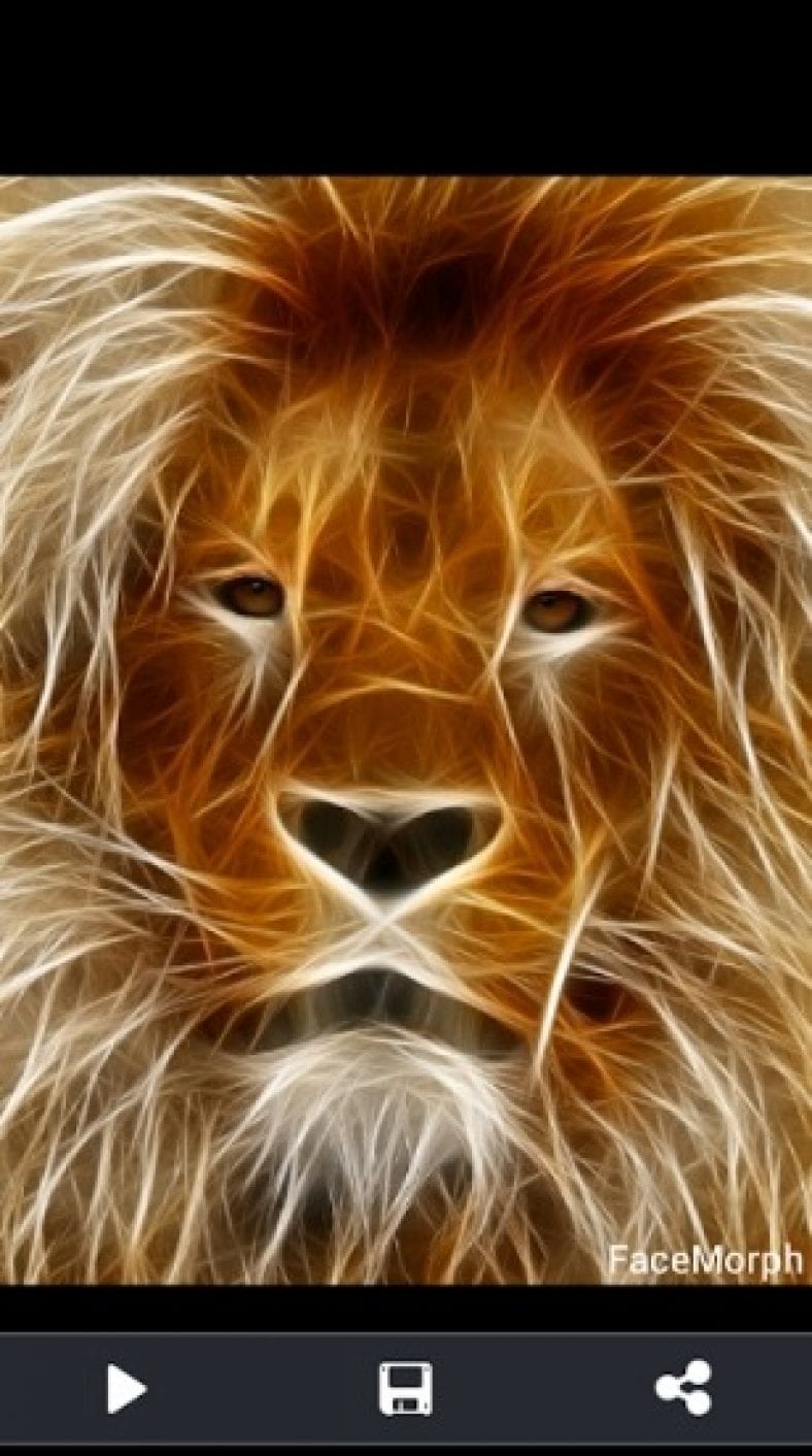 9 Best Photo Morphing Apps for Android & iOS Free apps for Android