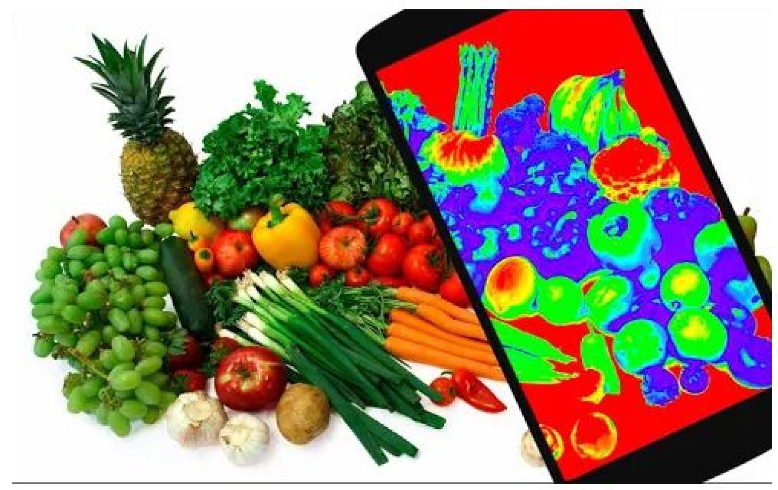 11 Best Thermal Camera Apps in 2021 (Android & iOS) Free apps for